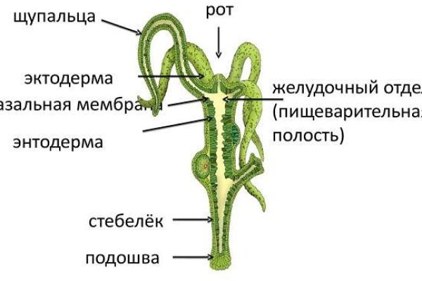 Официальный сайт kraken kraken clear com